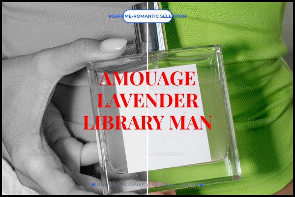 Amouage - Lavender Library Man