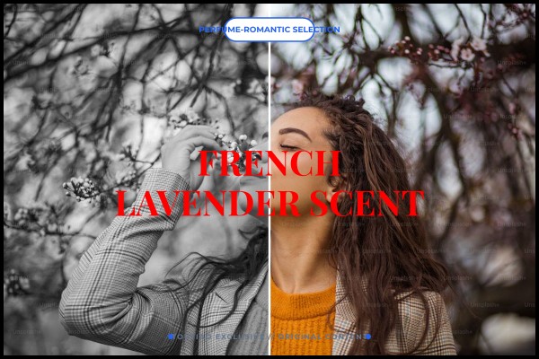 french lavender scent