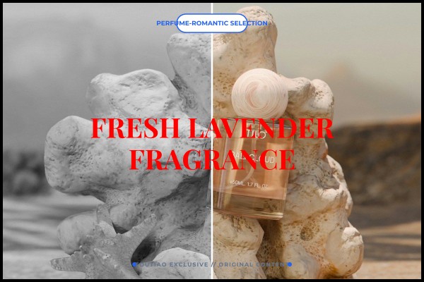 fresh lavender fragrance