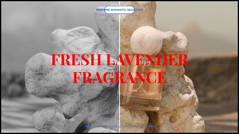 fresh lavender fragrance