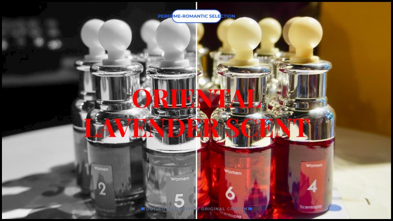 oriental lavender scent
