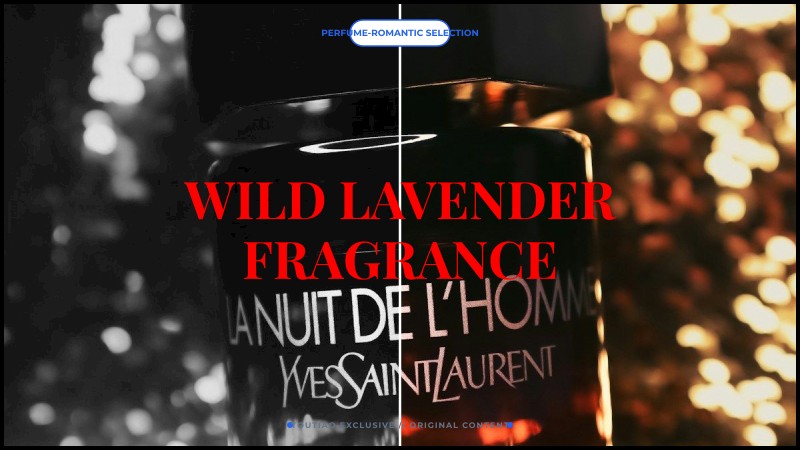 wild lavender fragrance
