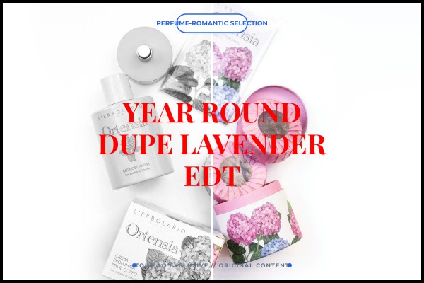 year-round dupe lavender edt